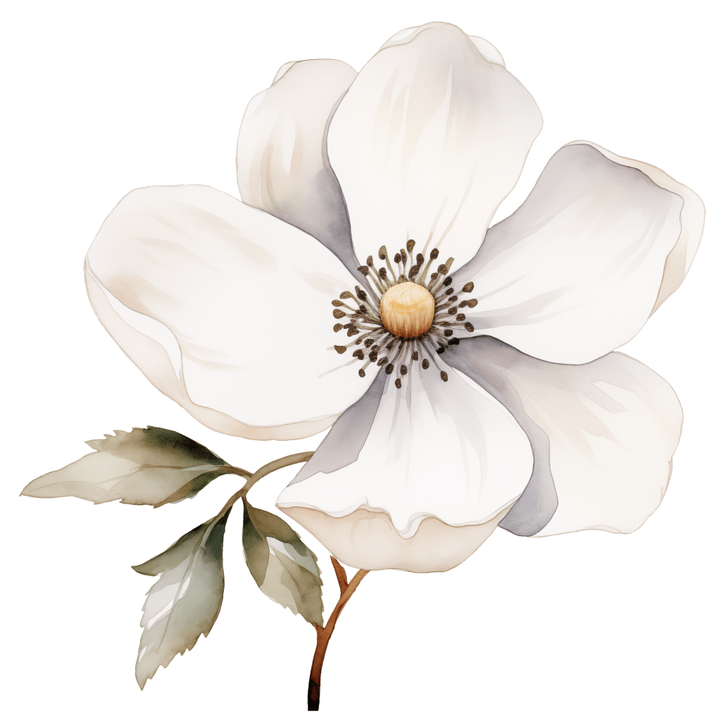 Welke soorten heksen bestaan&nbsp;er?